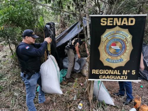 Caaguazú: SENAD localizó e incautó más de 1.300 Kg de marihuana